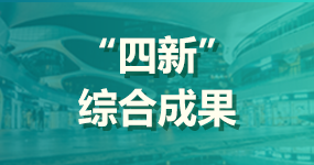 6、“四新”综合成果